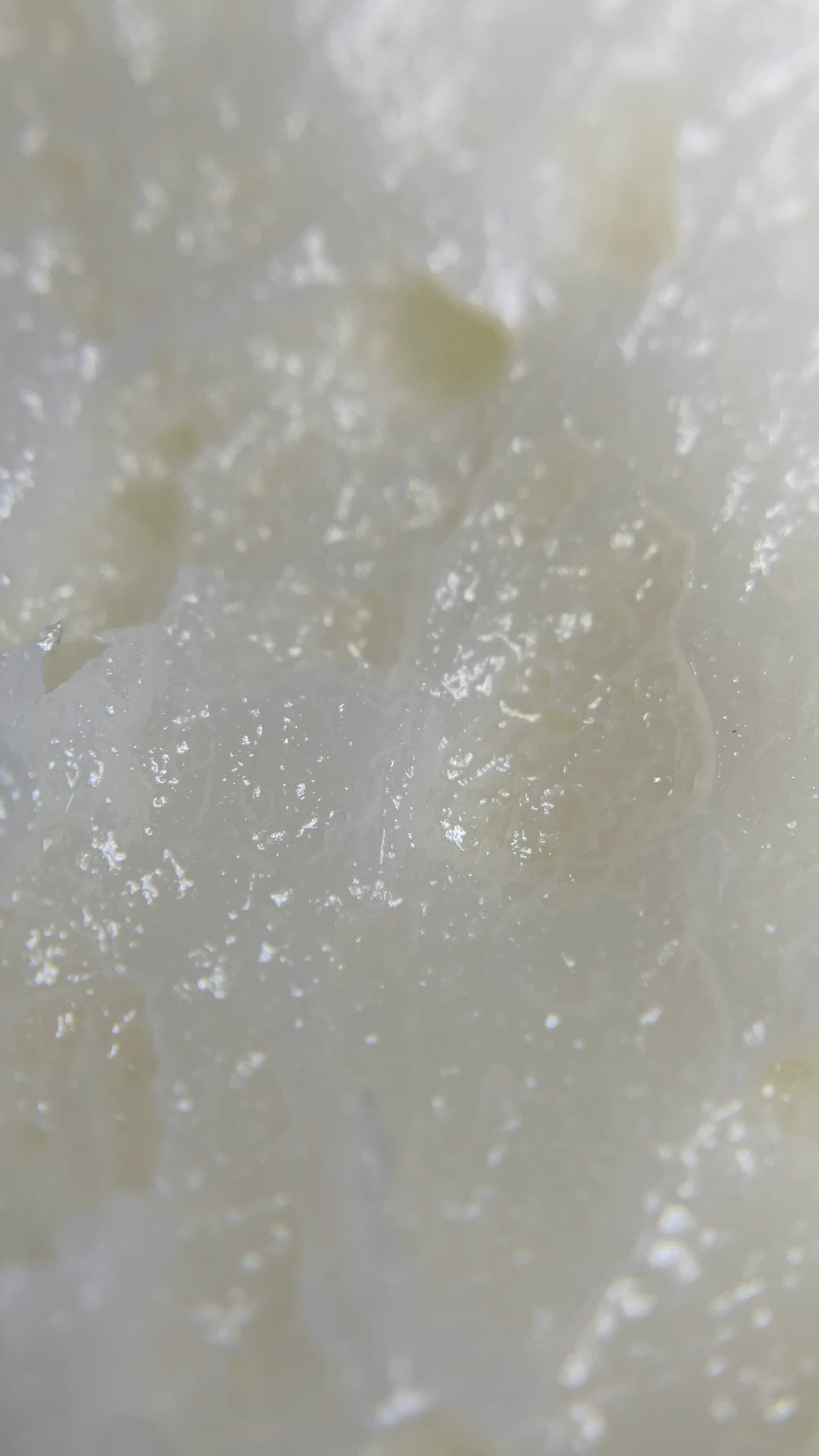 Sacred Goddess Tallow Body Moisturizer